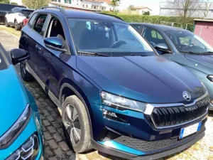 Skoda Karoq 2.0 TDI Executive 2022