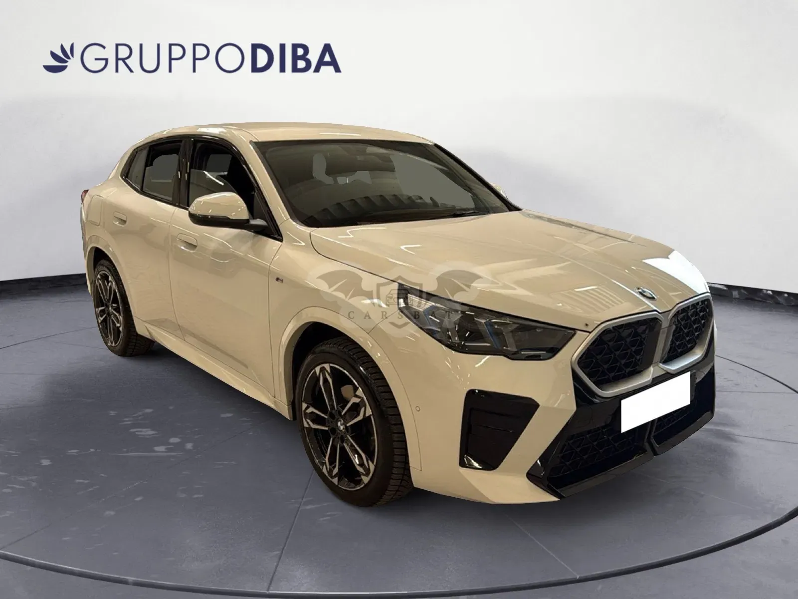 BMW X2 18d M Sport 2024