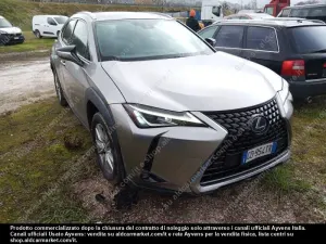 Lexus UX Business 2020