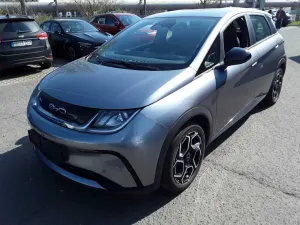 BYD Dolphin Comfort 2024