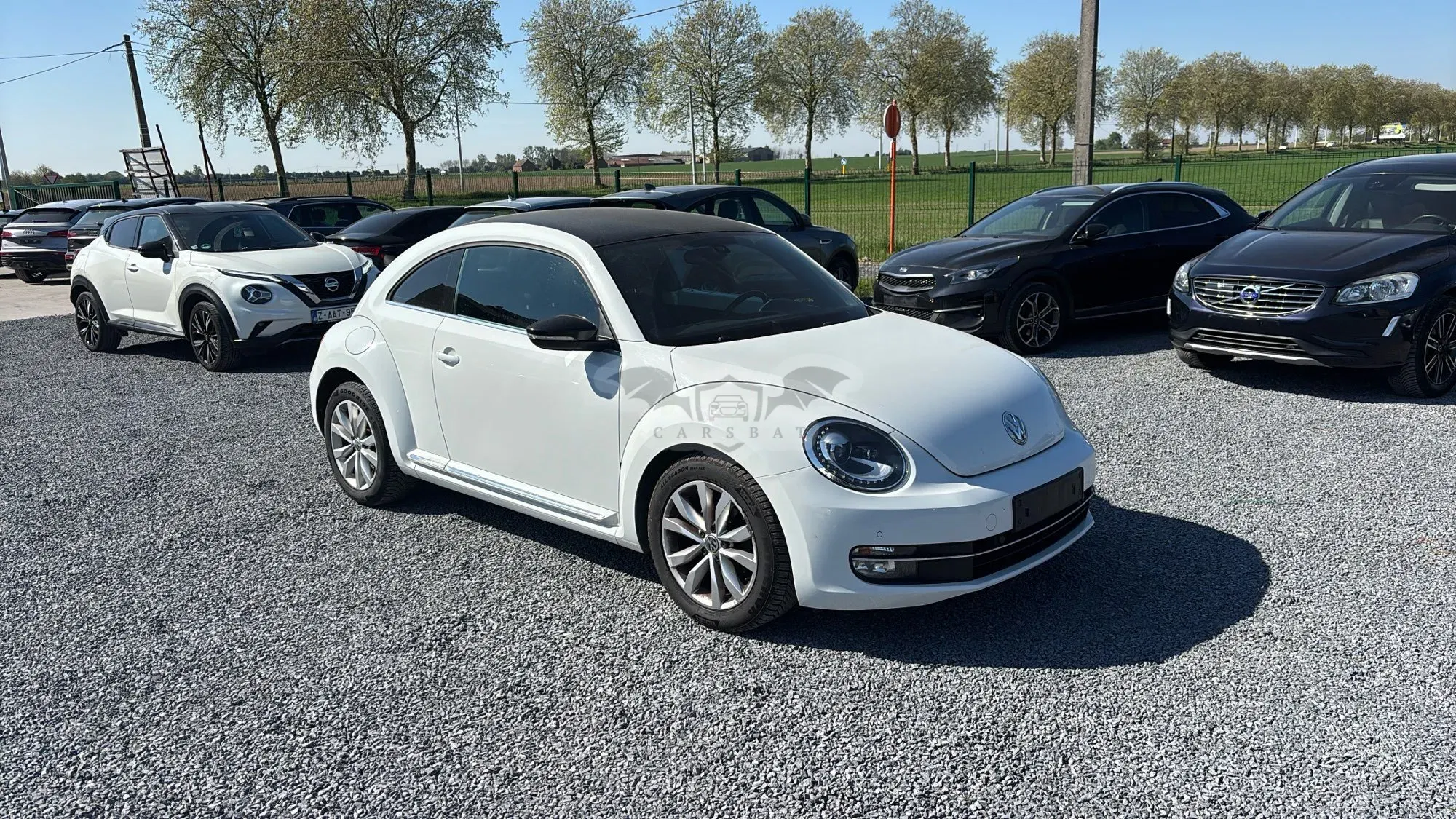Volkswagen Beetle 1.6 TDI Club 2015