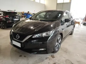 Nissan Leaf Business 2021