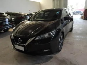 Nissan Leaf Business 2021