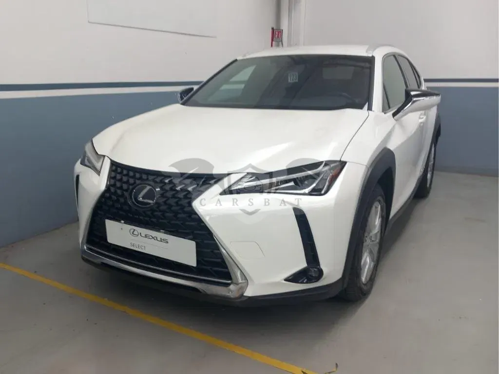 Lexus UX 250h Business 2019
