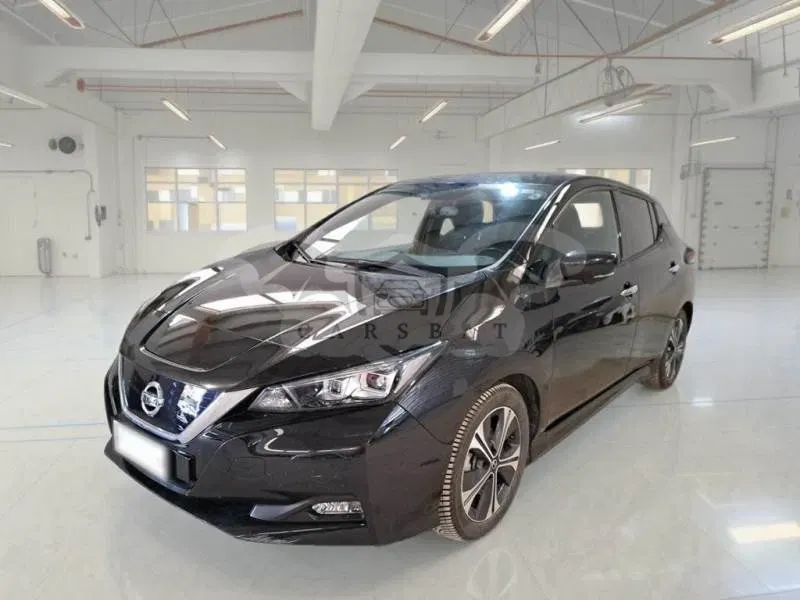 Nissan Leaf Business 2021