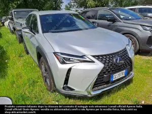 Lexus UX Executive 2021