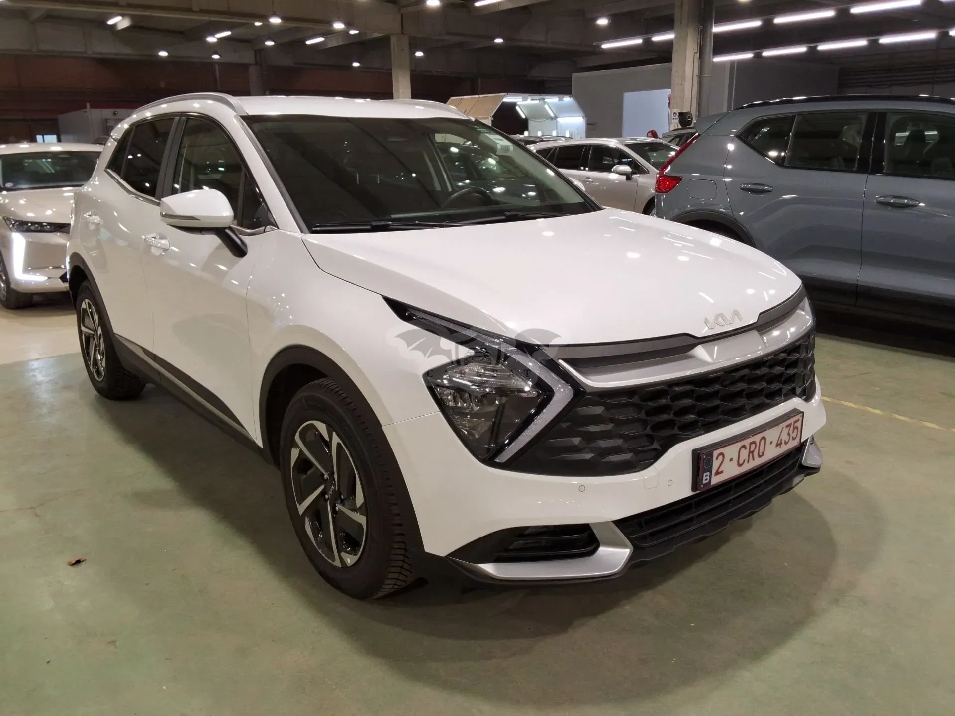 Kia Sportage 1.6 T-GDI Plus 2022