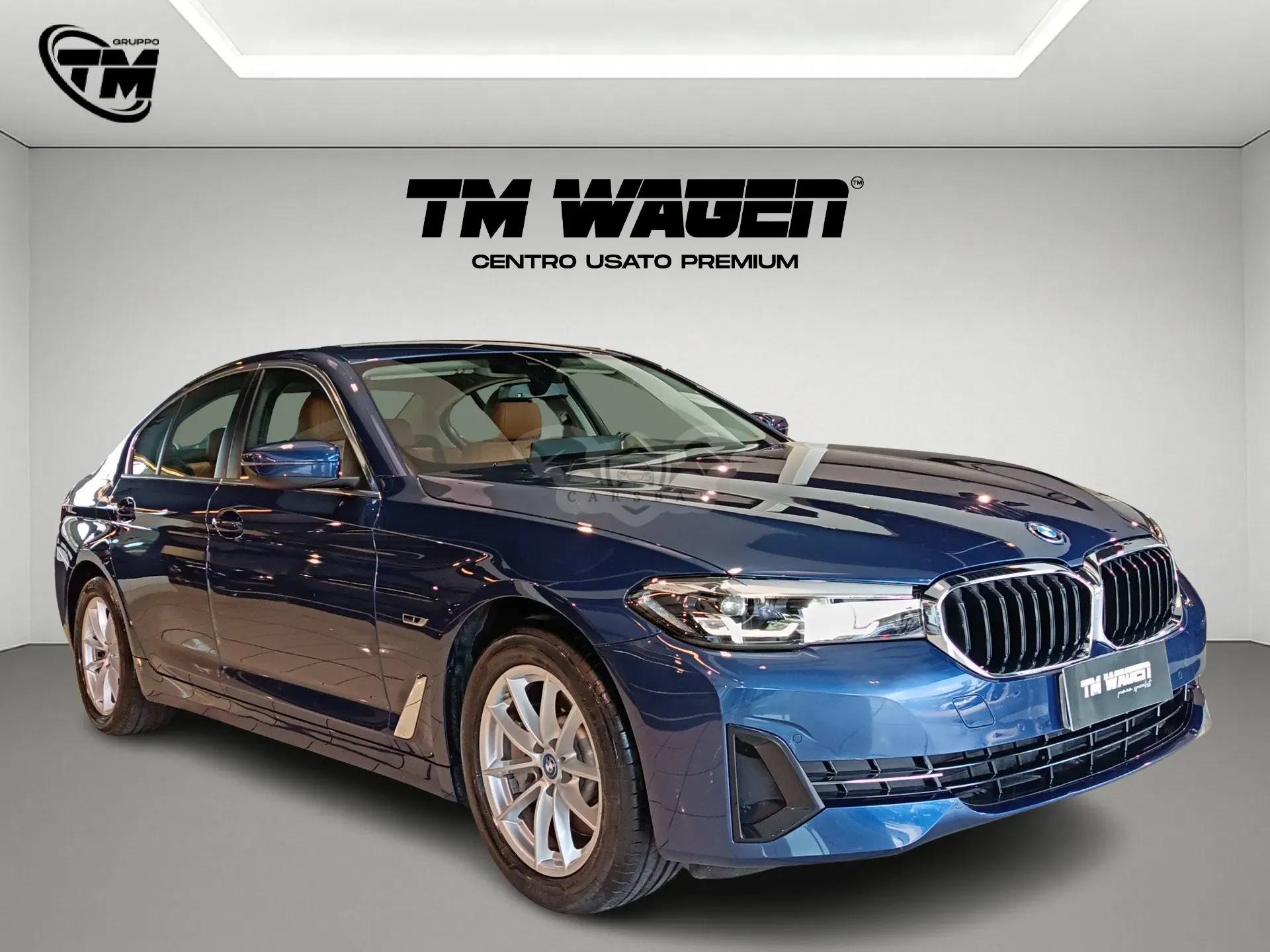 BMW 5 Series 530e Business 2021