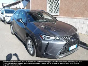 Lexus UX Business 2021