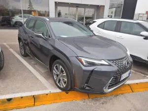 Lexus UX 300e Luxury 2024