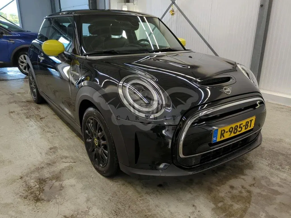 Mini Electric classic 2022