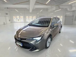 Toyota Corolla Business 2020