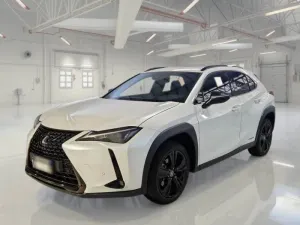 Lexus UX 250h 2022