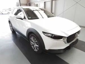 Mazda CX-30 2.0 M-Hybrid Selection 2021