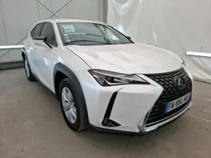 Lexus UX 250h Business 2021