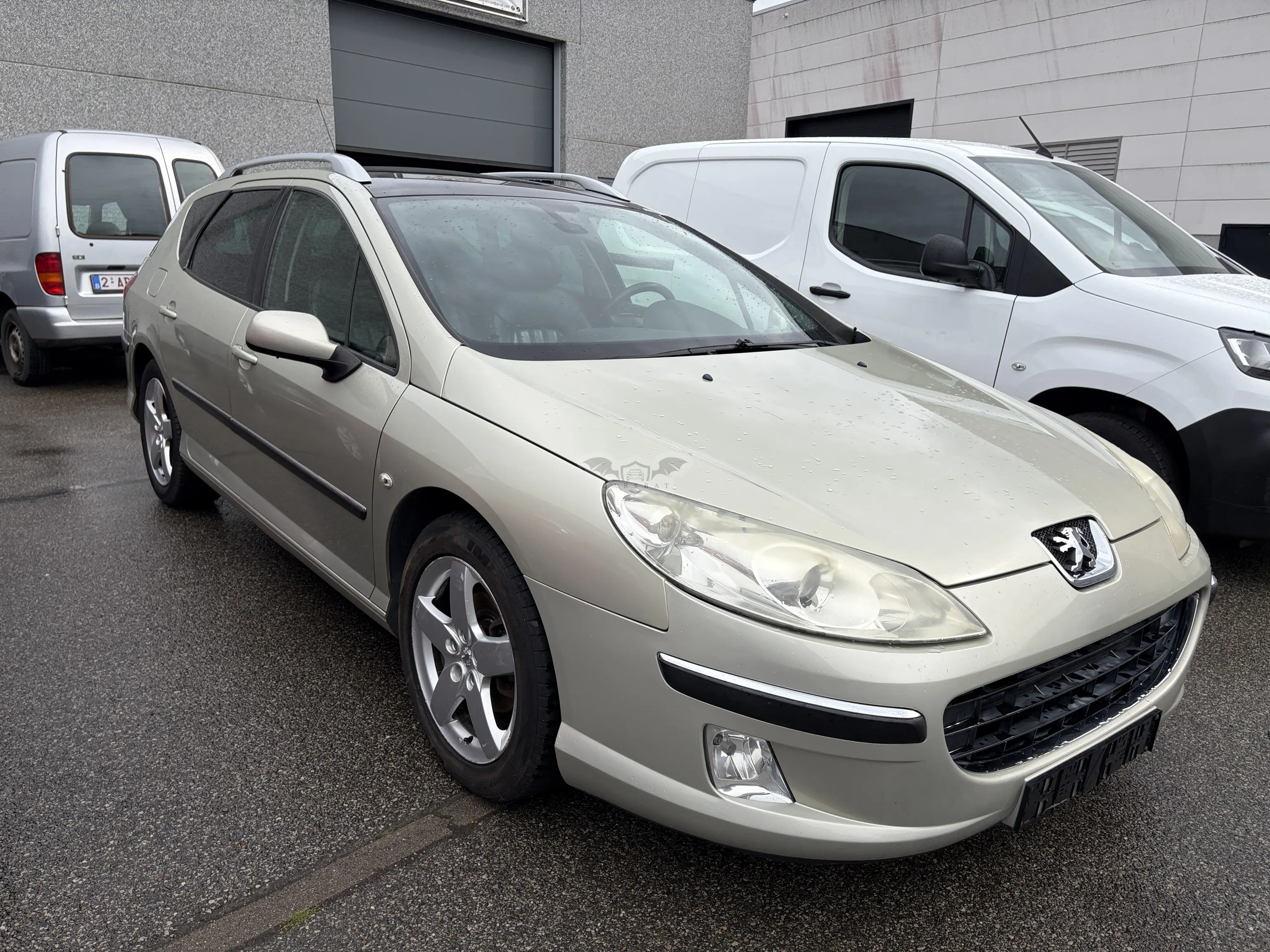 Peugeot 407 SW 2.0 ST 2005