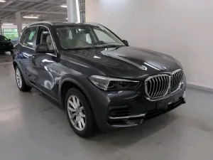 BMW X5 45e Lounge 2022