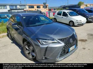 Lexus UX Business 2021