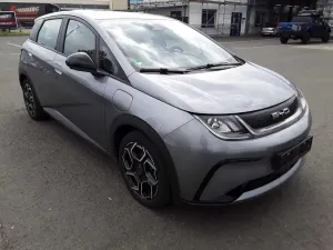 BYD Dolphin Comfort 2024