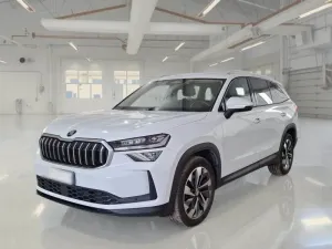 Skoda Kodiaq 2.0 TDI Style 2024
