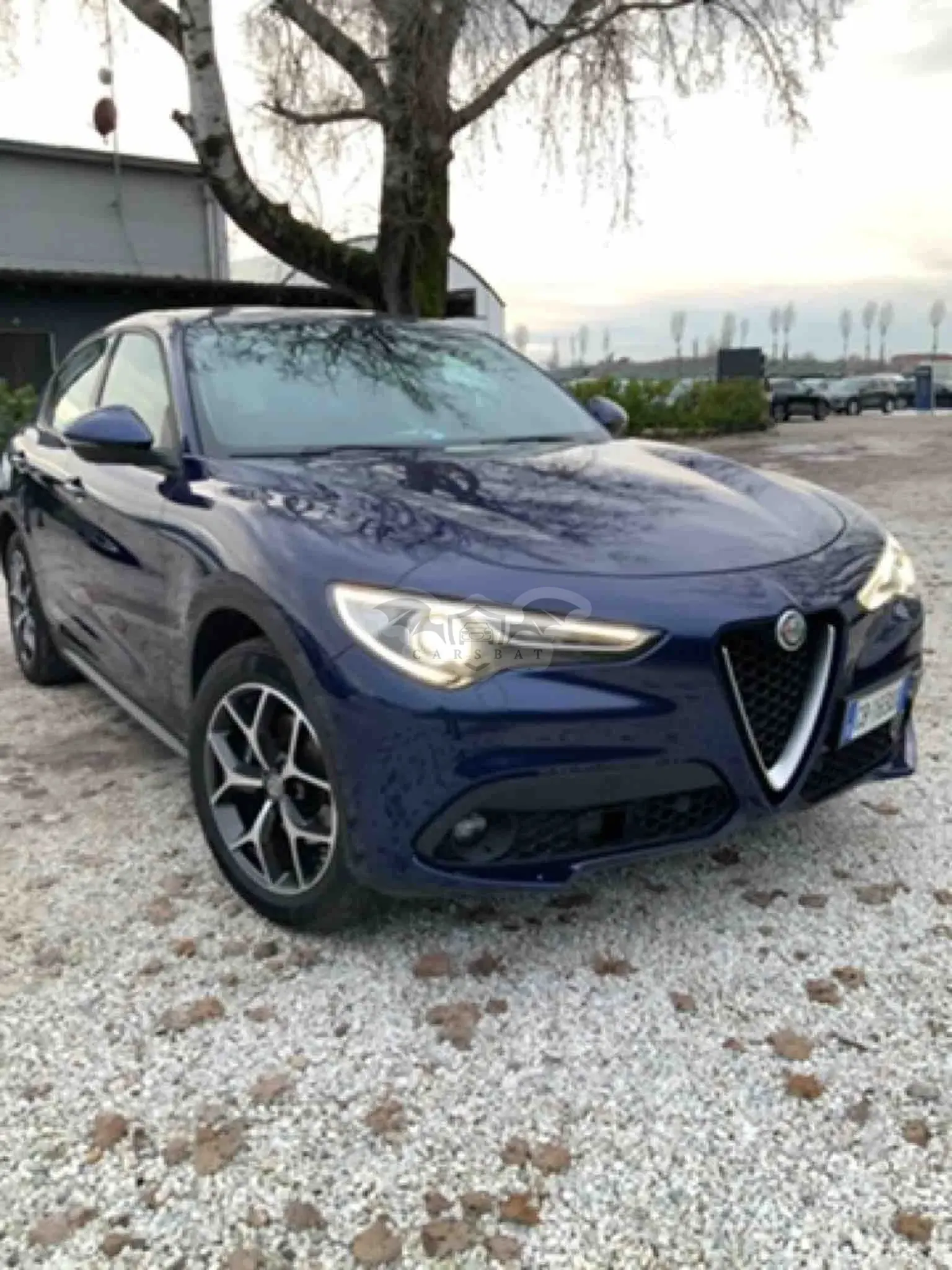 Alfa Romeo Stelvio 2.2 JTD Business 2020