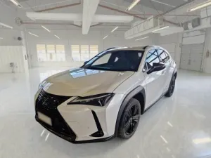 Lexus UX 250h 2022