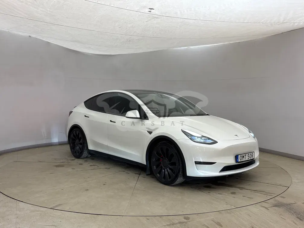 Tesla Model Y Performance 2024