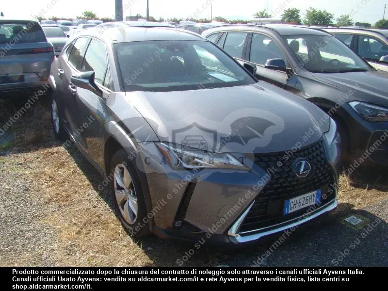 Lexus UX Business 2021
