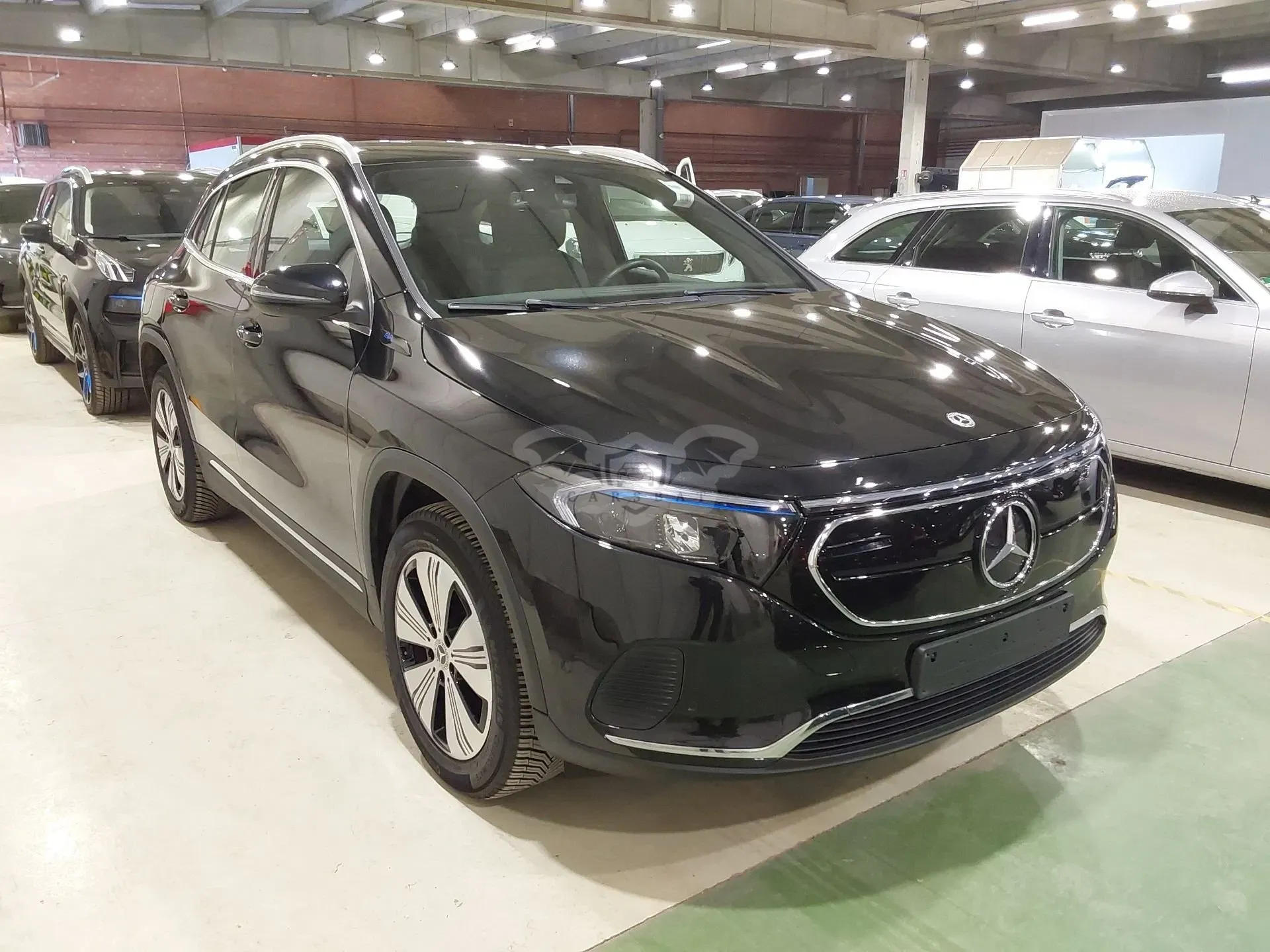 Mercedes-Benz EQA 250 Business Line 2022
