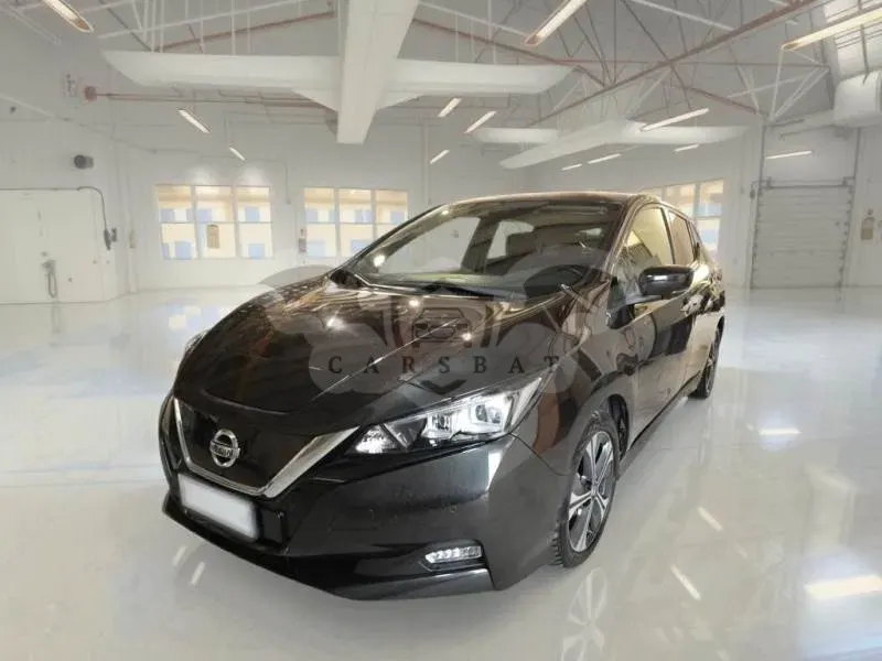Nissan Leaf Business 2021