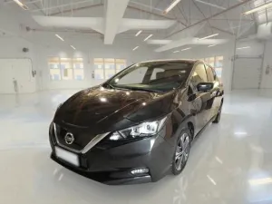 Nissan Leaf Business 2021