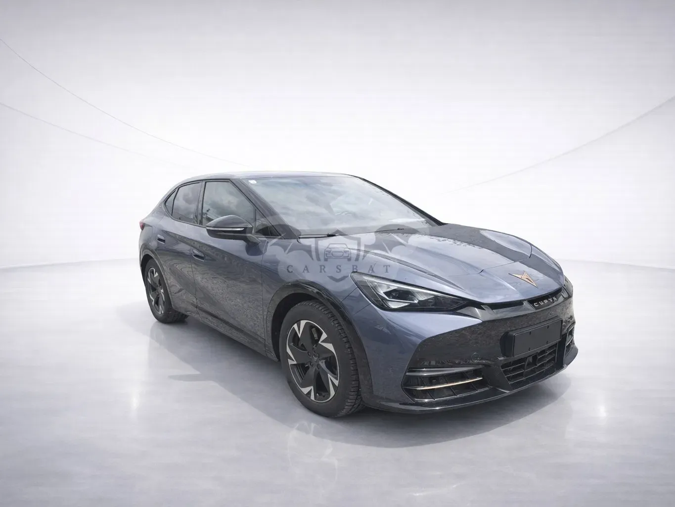 Cupra Tavascan Endurance 2024