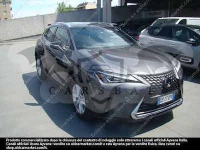 Lexus UX Business 2021