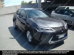 Lexus UX Business 2021