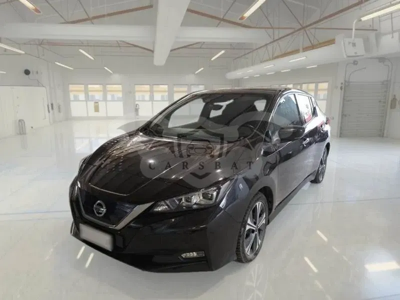 Nissan Leaf Business 2021