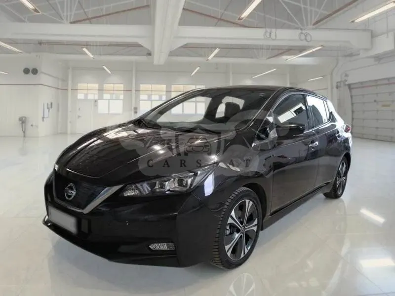 Nissan Leaf Business 2021