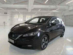 Nissan Leaf Business 2021