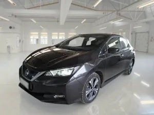 Nissan Leaf Business 2021