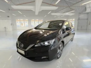 Nissan Leaf Business 2021