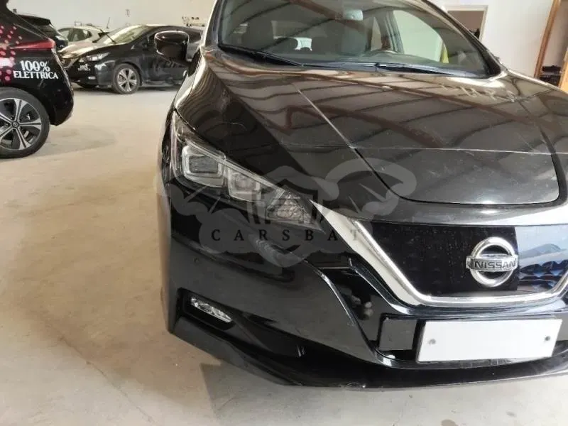 Nissan Leaf Business 2021