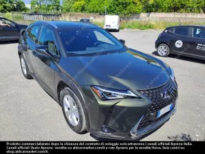 Lexus UX Business 2021