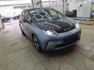 BYD Dolphin Design 2024