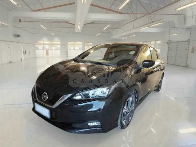 Nissan Leaf Business 2021