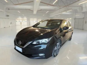 Nissan Leaf Business 2021