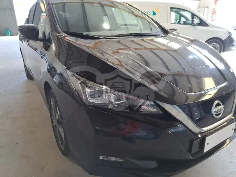 Nissan Leaf Business 2021