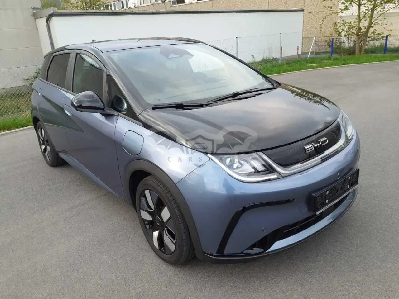 BYD Dolphin Design 2024