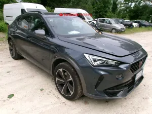 Cupra Formentor 2.0 TDI 2023