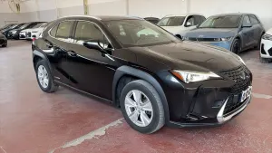 Lexus UX 250h Business 2020