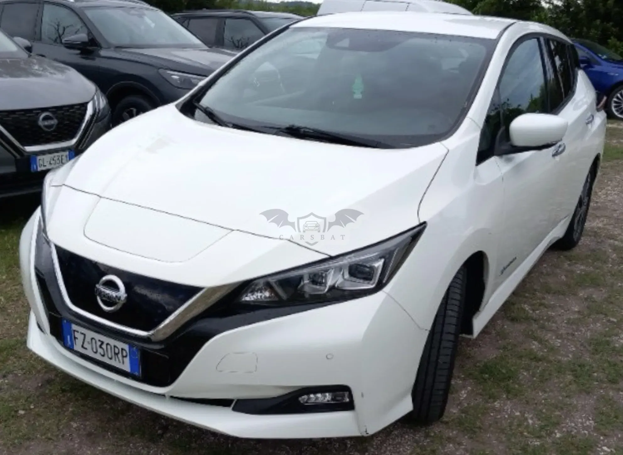 Nissan Leaf Business 2019