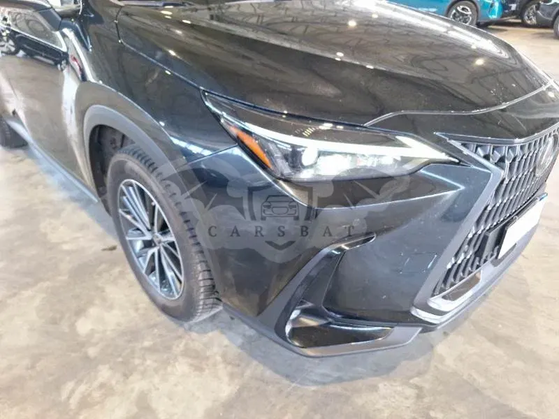 Lexus NX 350h Business 2022